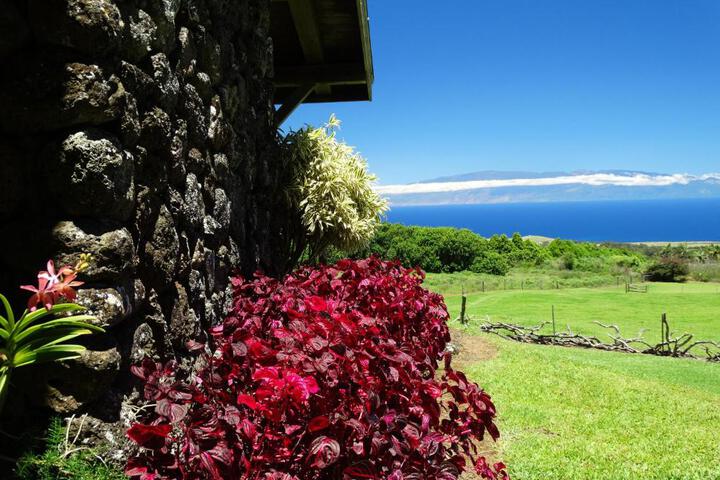 Kohala Lodge- Vacation Rental House