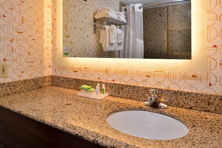 Holiday Inn Hotel & Suites Rochester - Marketplace by IHG