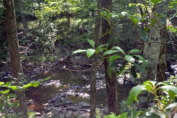 Rosies Creekside Retreat - 3 BR Escape!