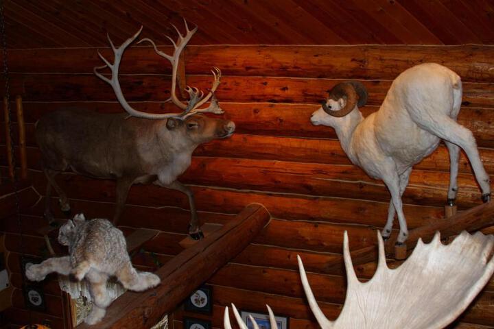 Wise Old Hunter Lodge