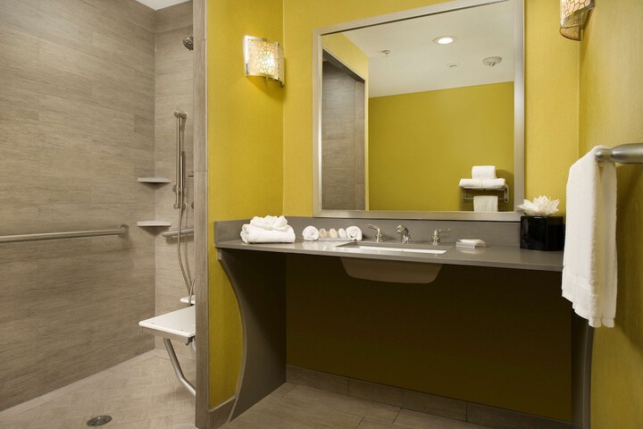 Hilton Garden Inn College Station
