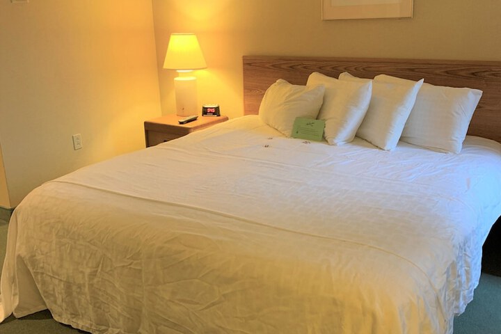 Room 19 of 48