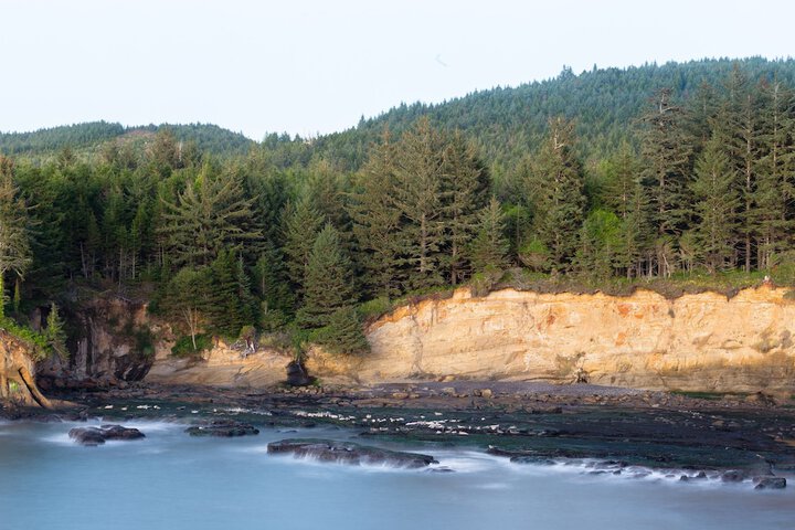 Whale Cove Inn