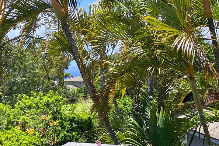 Puu Koa Palms vacation rental