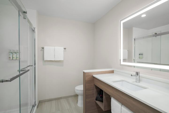 Holiday Inn Express & Suites DFW Airport Southwest - Euless