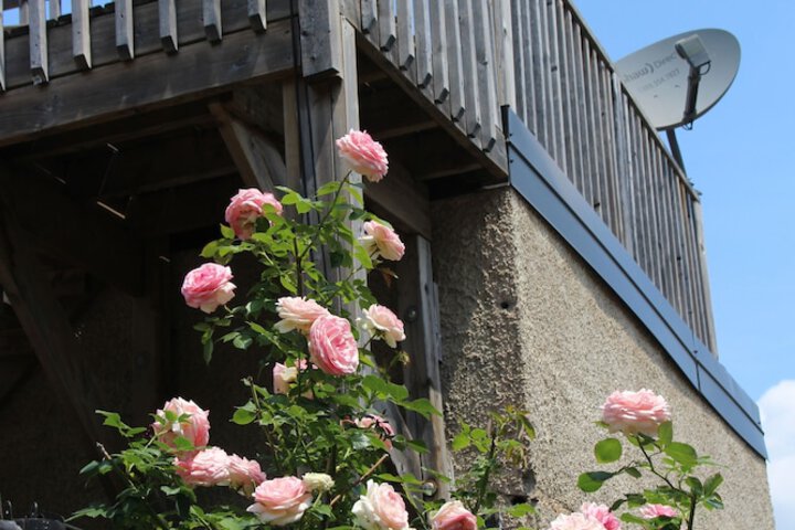 Terrace/Patio 42 of 43