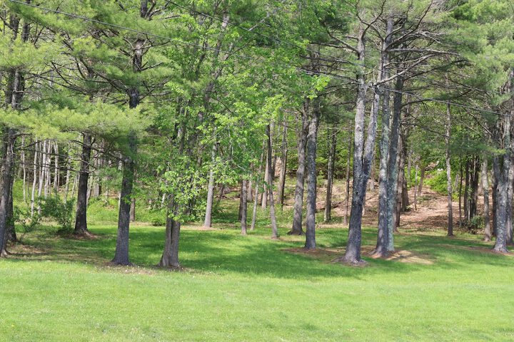 Property Grounds 32 of 32