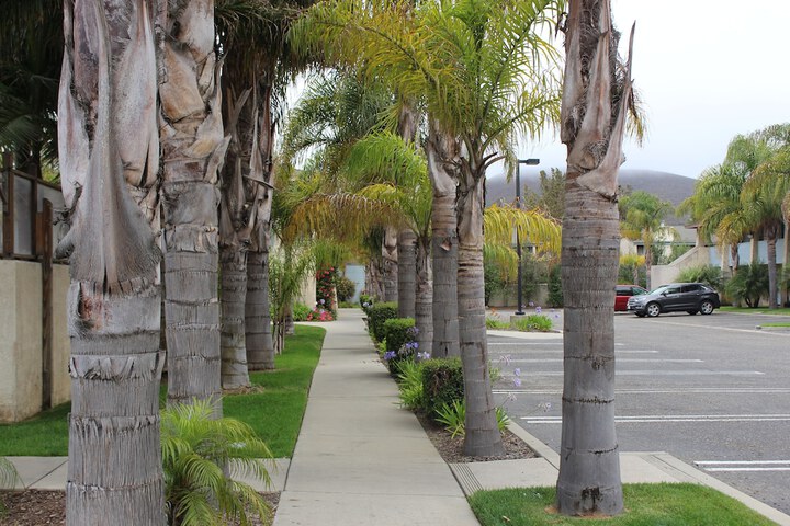 Ocairns Inn & Suites