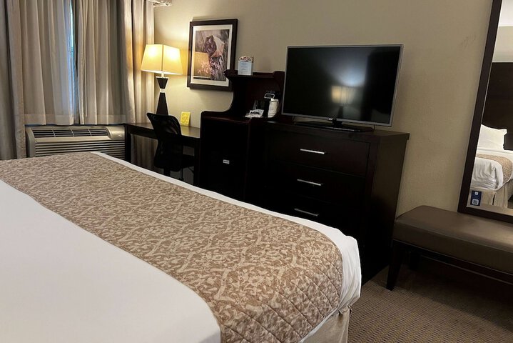 Room 20 of 42