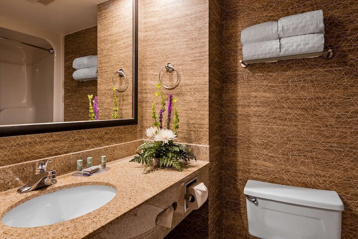 Best Western Detroit Livonia