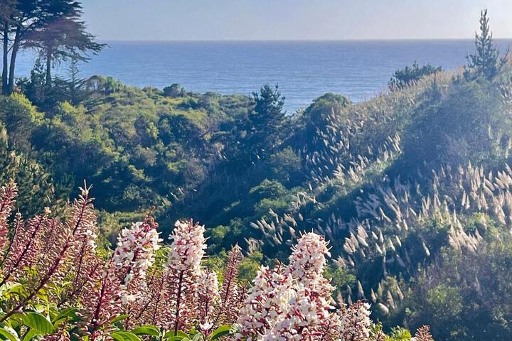 Royal Villa - Ocean View - Heated Pools - SEASCAPES BEST 1 BEDROOM - 3 BEDS - End Unit