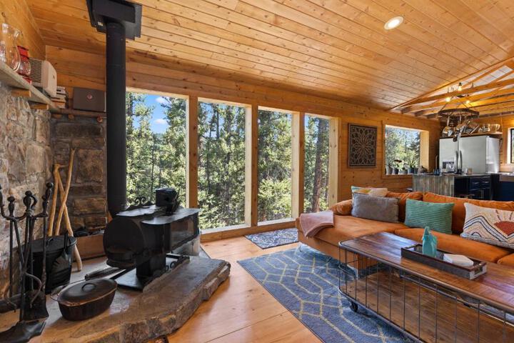 Relaxing Alpine Oasis - Minutes from Breckenridge