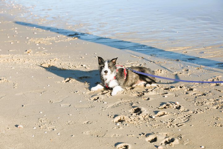 Beach 158 of 230
