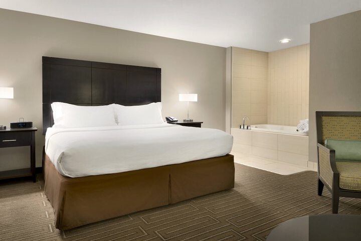 Holiday Inn & Suites Duluth Downtown by IHG