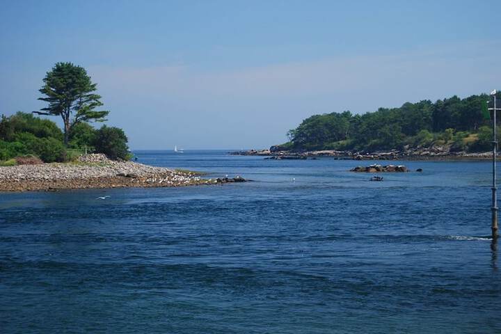 Beach 114 of 135
