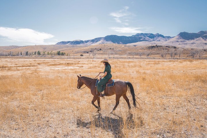 Cibolo Creek Ranch & Resort