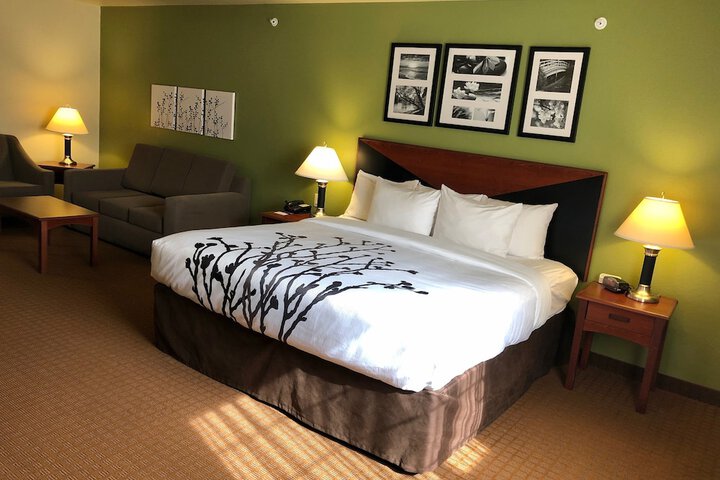 Sleep Inn & Suites Shamrock