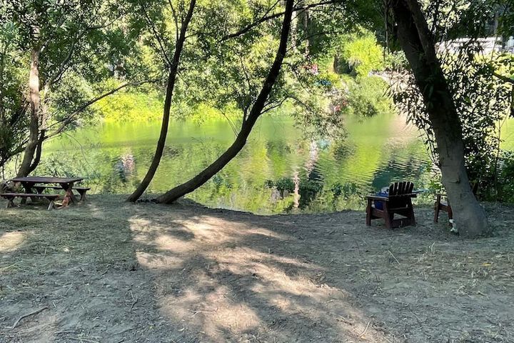 Property Grounds 55 of 57