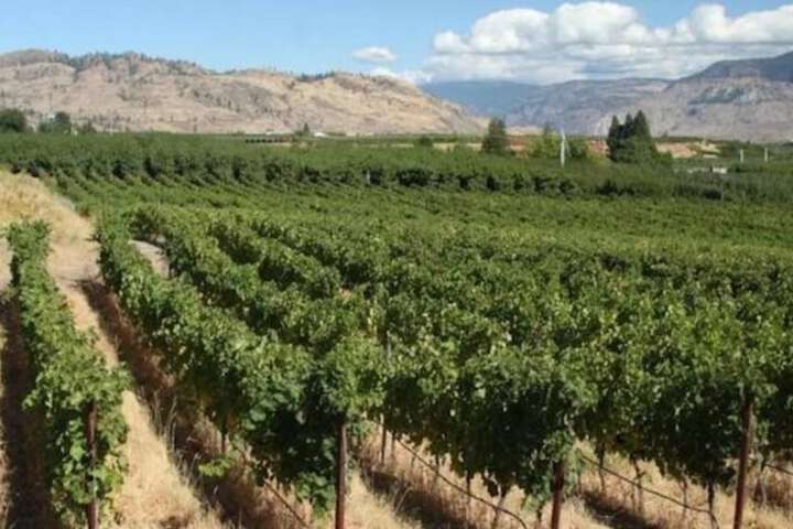Holiday Inn Hotel & Suites Osoyoos by IHG