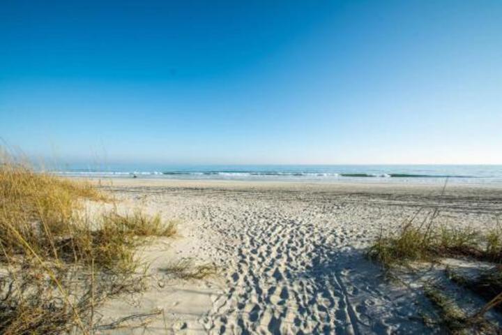 Sea Castle 8 G by Palmetto Vacation Rentals