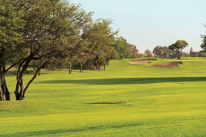 Paniolo Greens at Waikoloa
