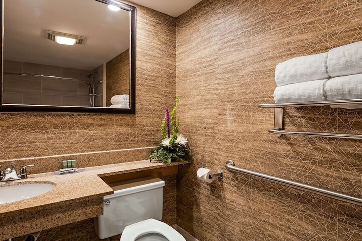 Best Western Detroit Livonia