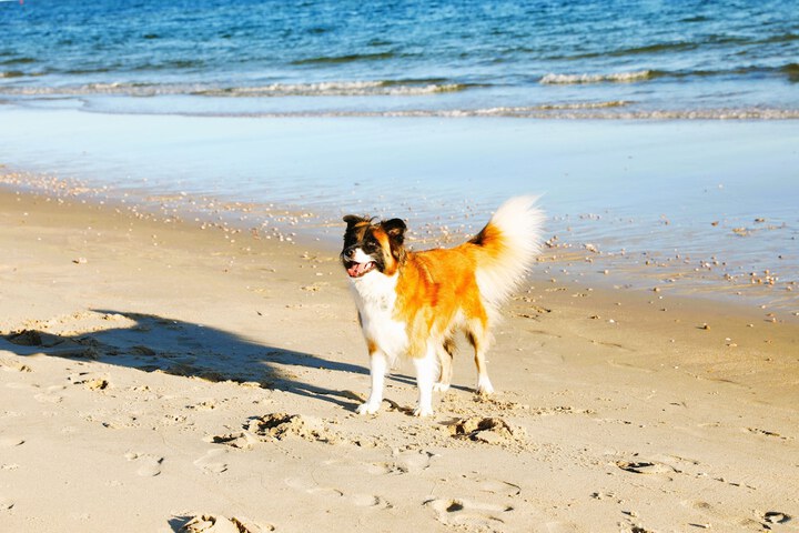 Beach 170 of 230
