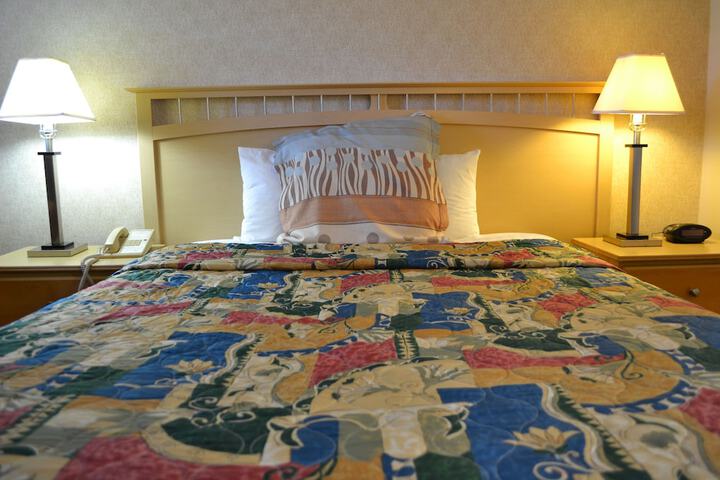 Room 14 of 29
