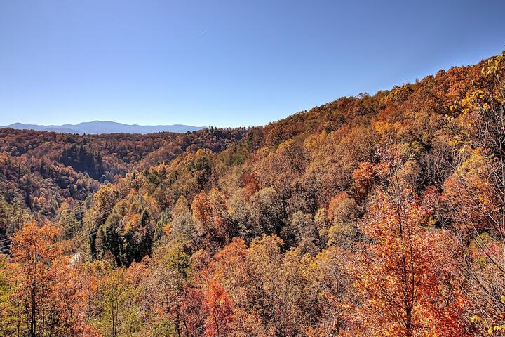 Bearview Heights #244