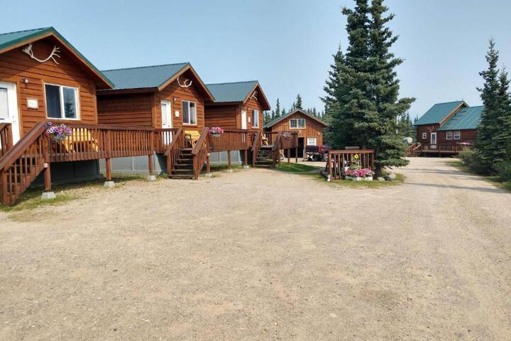 Denalis Alaskan Spruce Cabins