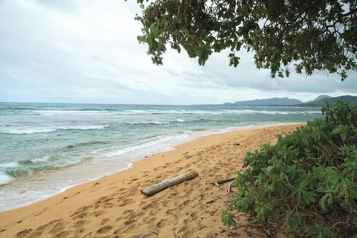 Kauai Coast at the Beachboy