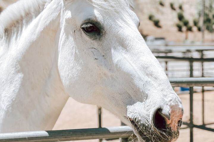 Bandy Canyon Ranch