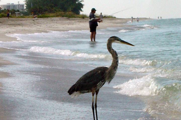 Casa Del Mar Longboat Key