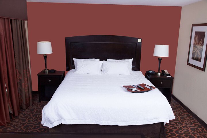 Hampton Inn & Suites Dickinson