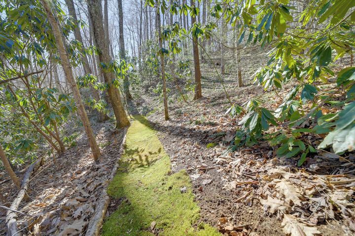 the Red Loft Candler Cottage Near Hiking Trails!