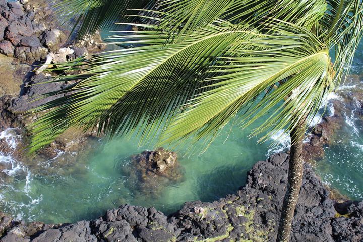 Grand Naniloa Hotel Hilo - a Doubletree by Hilton