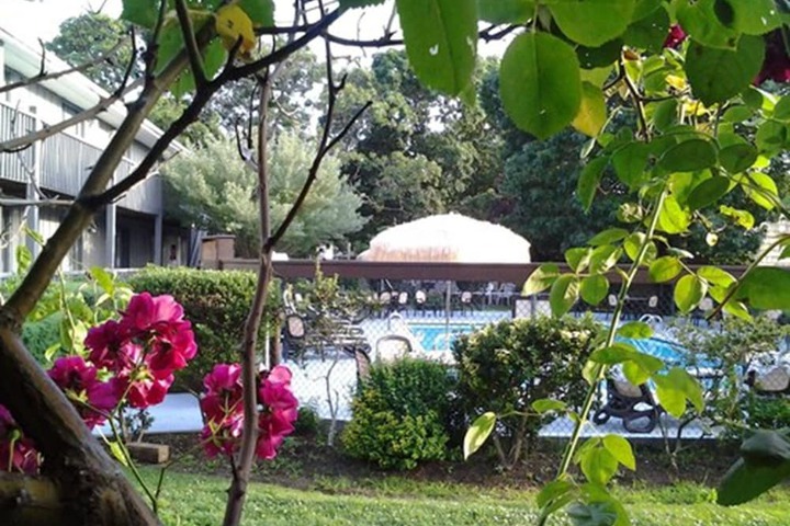 Pool 8 of 27