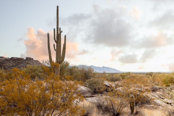 Aloft by Marriott Tucson University