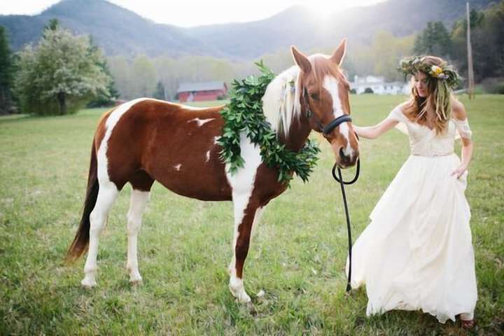 Pisgah View Ranch