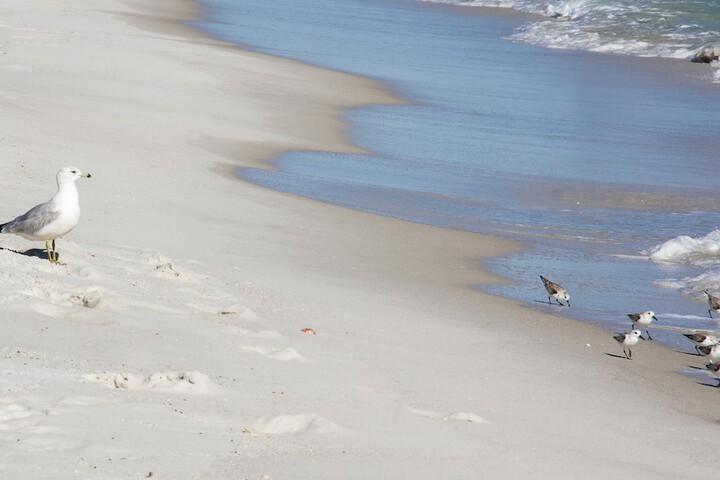 Beach 31 of 42