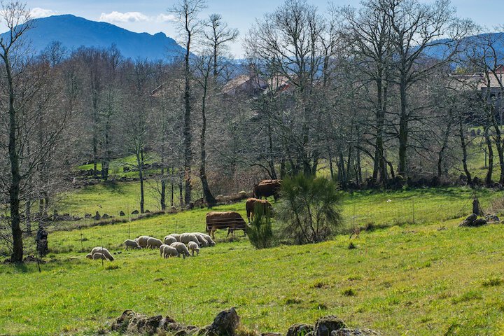 Machetas Coutry House