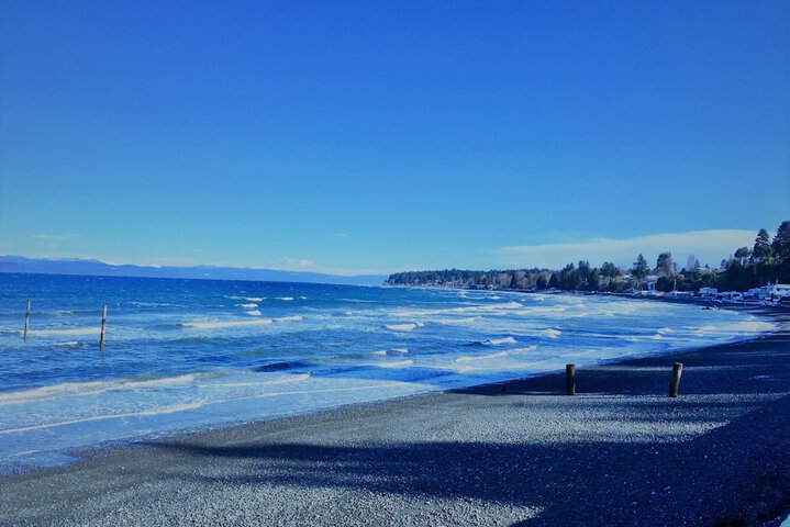 Beach 73 of 79