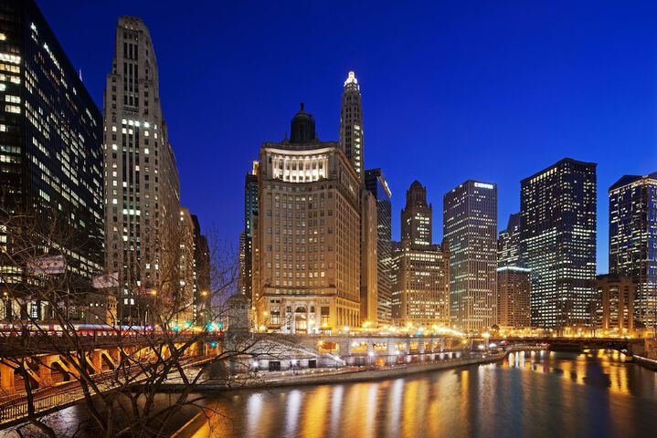 LondonHouse Chicago Curio Collection by Hilton