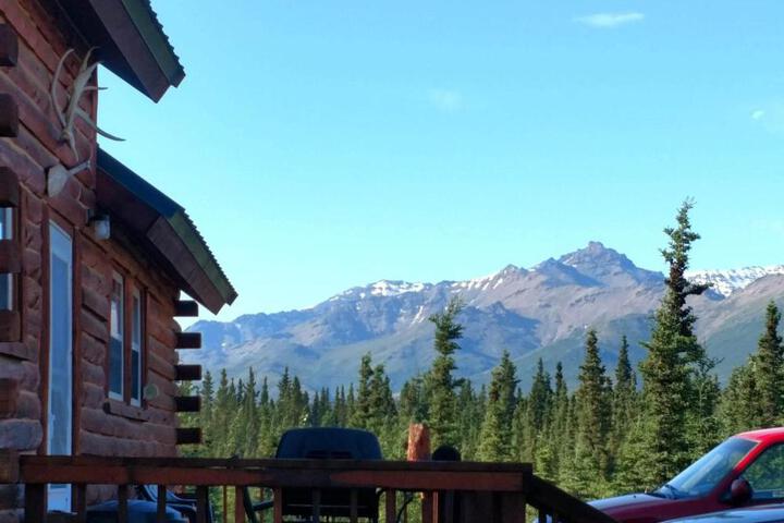 Denalis Alaskan Spruce Cabins