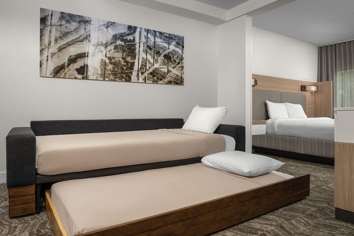 SpringHill Suites by Marriott Atlanta Buford / Mall of Georgia
