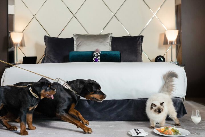 Pet Friendly 140 of 143