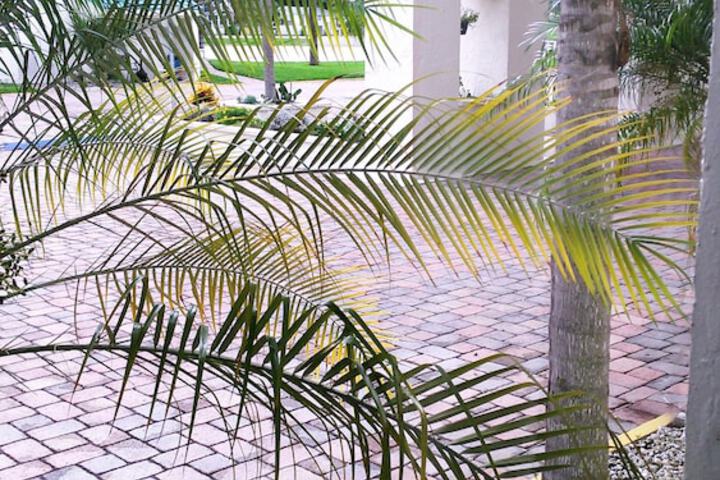 Terrace/Patio 65 of 82