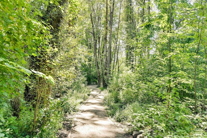 Charming Portland Home Walk to Light Rail!