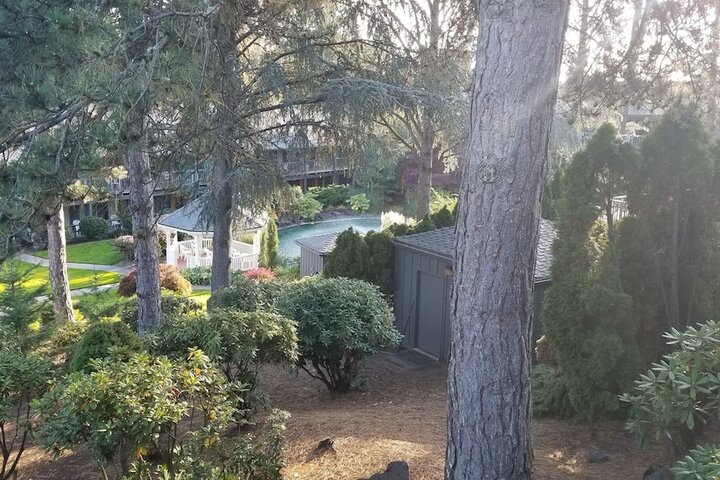 Property Grounds 92 of 92