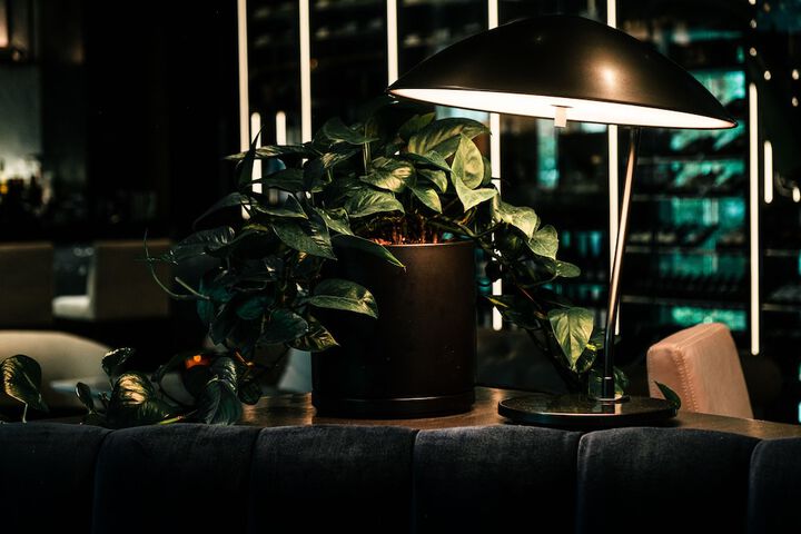 Lounge 88 of 143